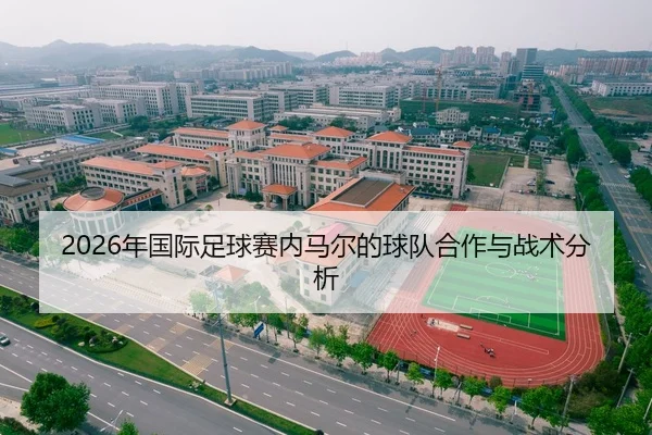 2026年国际足球赛内马尔的球队合作与战术分析
