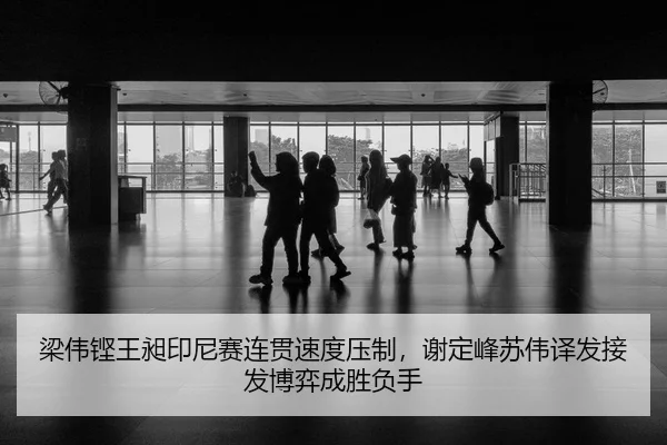 liang-wei-keng-wang-chang-yin-ni-sai-lian-guan-su-du-ya-zhi-xie-ding-feng-su-wei-yi-fa-jie-fa-bo-yi-cheng-sheng-fu-shou-2-784.jpg