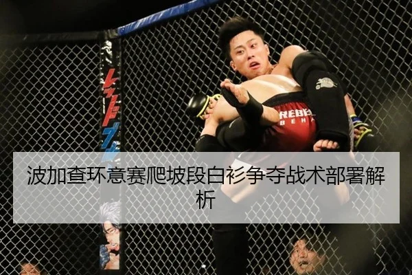 bo-jia-cha-huan-yi-sai-pa-po-duan-bai-shan-zheng-duo-zhan-shu-bu-shu-jie-xi-2-992.jpg