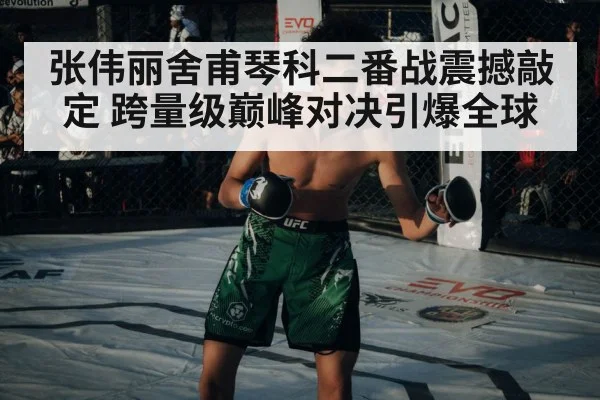 张伟丽舍甫琴科二番战震撼敲定 跨量级巅峰对决引爆全球